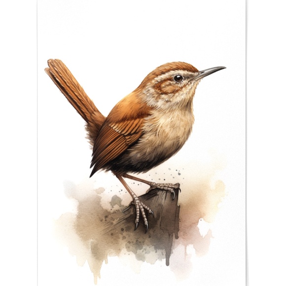 Watercolor Wren Bird Portrait Wall Art Illustration Print Poster Unframed - Picture 2 of 9
